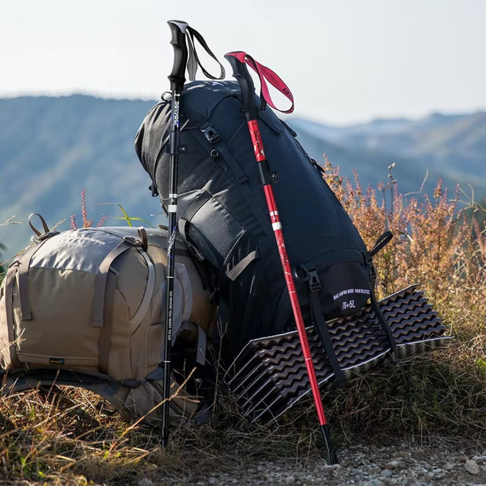 FJÄLLBRIS hopfällbar vandringsstav